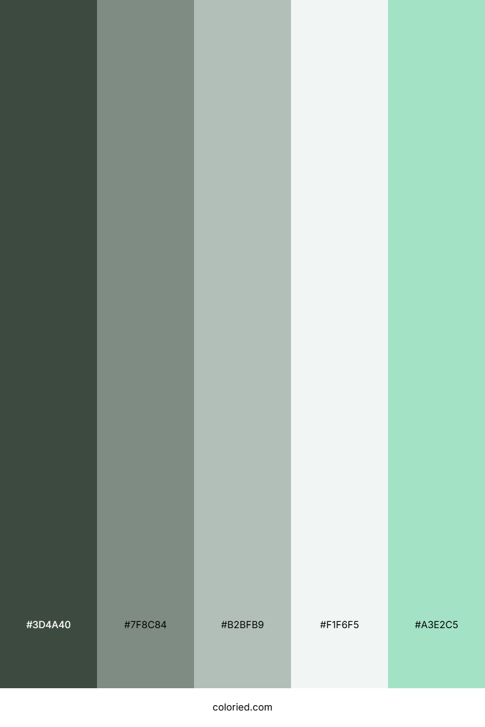 Snowbound Garden Mist Color Palette