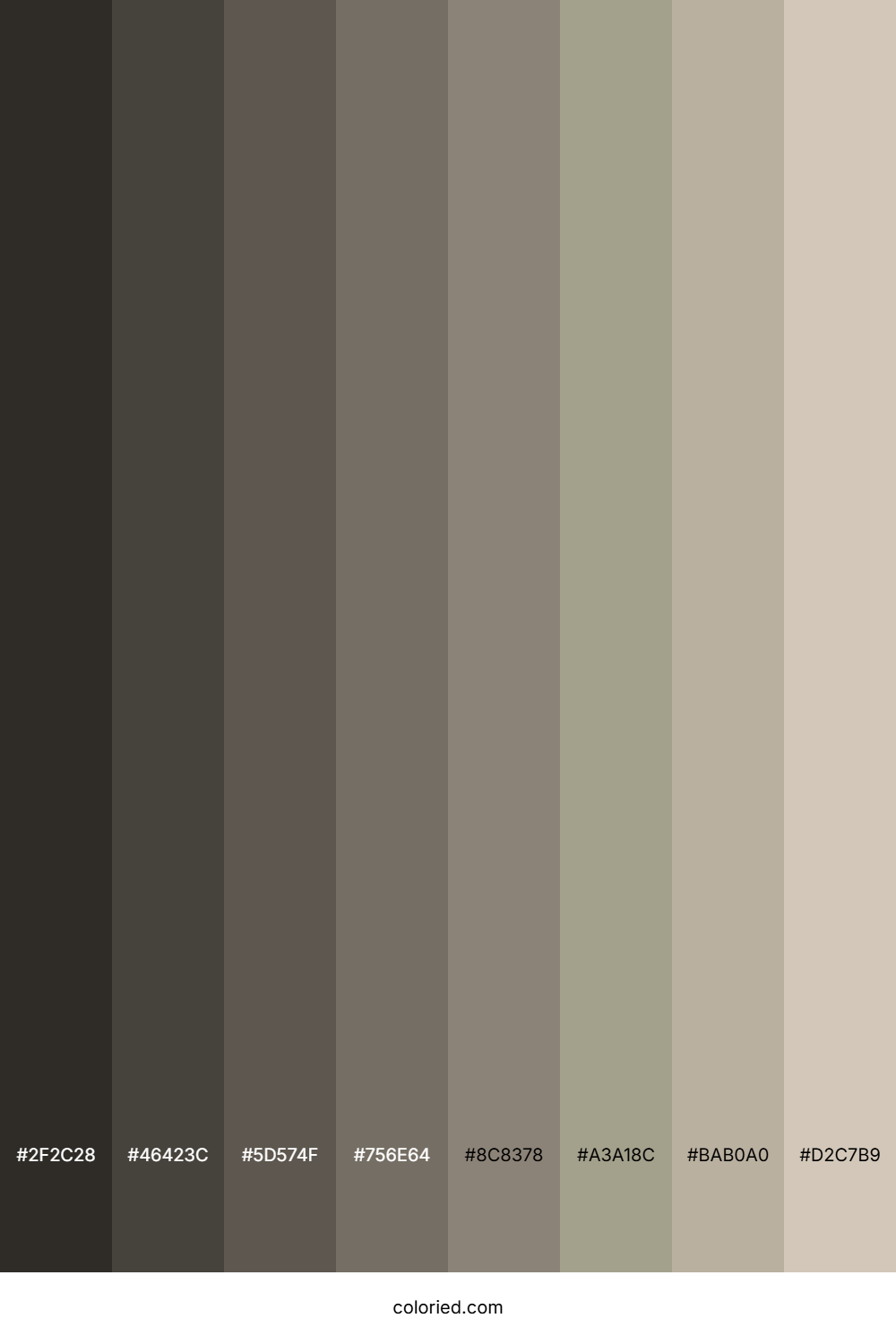 Soft Amber Color Shades