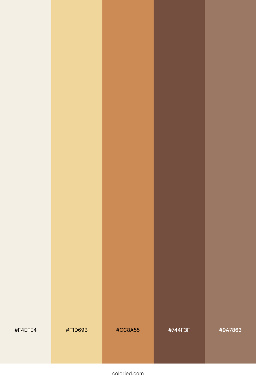 Soft Beige And Deep Brown Color Palette
