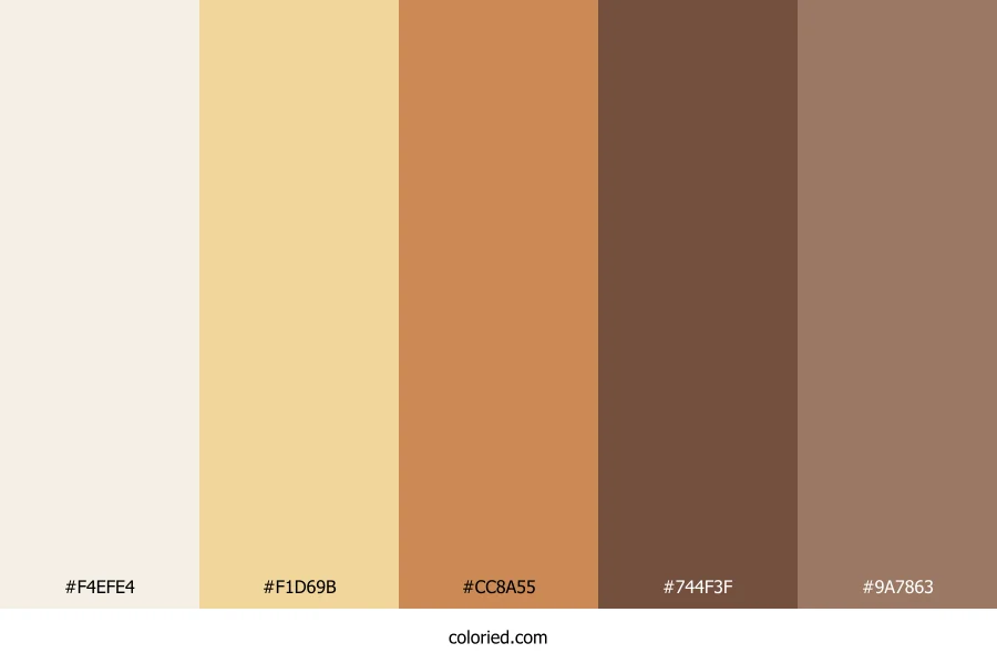 Soft Beige and Deep Brown Color Palette
