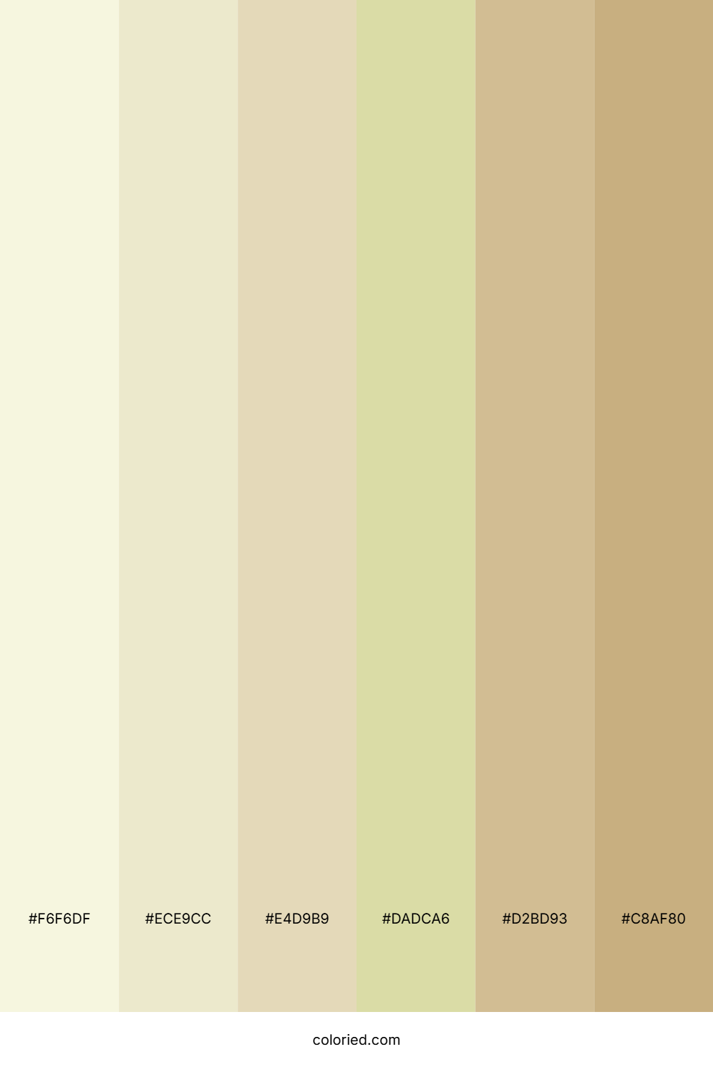 Soft Beige and Sand Color Palette