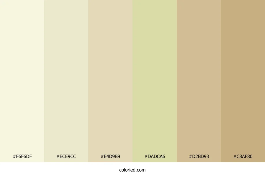 Soft Beige and Sand Color Palette