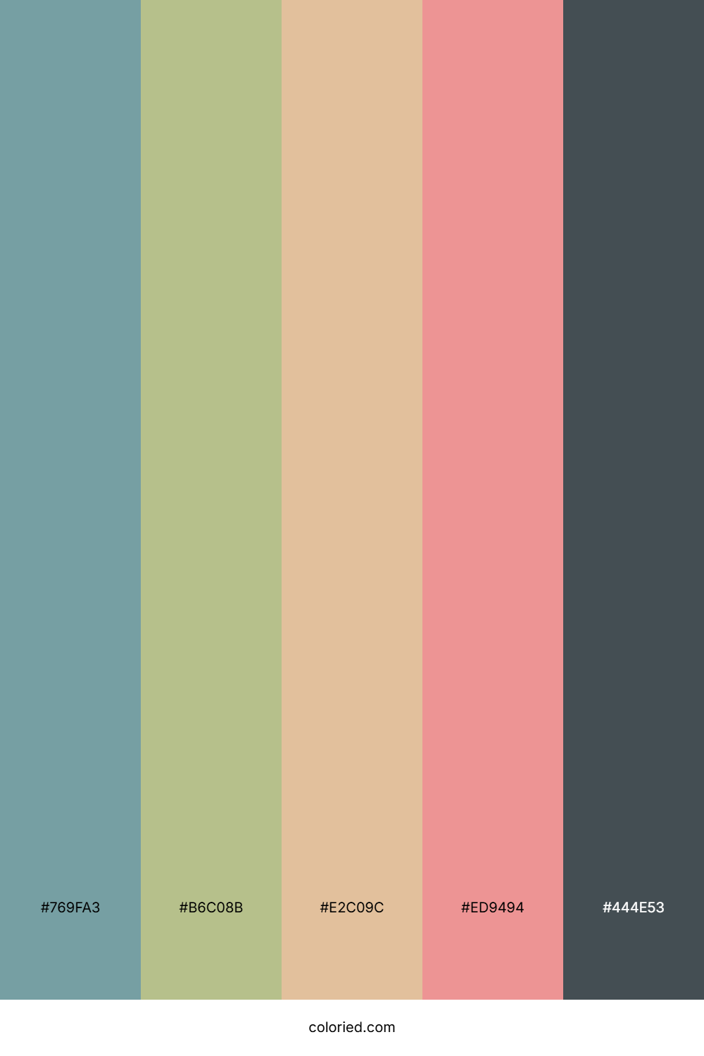 Soft Blue and Pastel Pink Color Palette