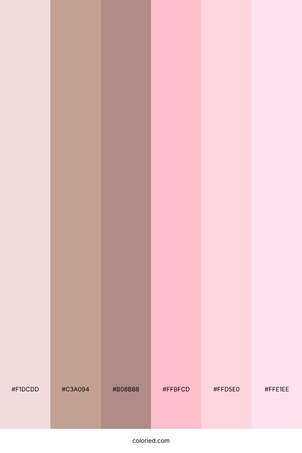 Soft Brown and Pink Color Palette