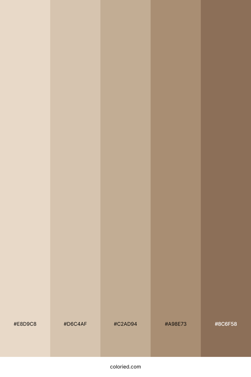 Soft Brown Color Palette