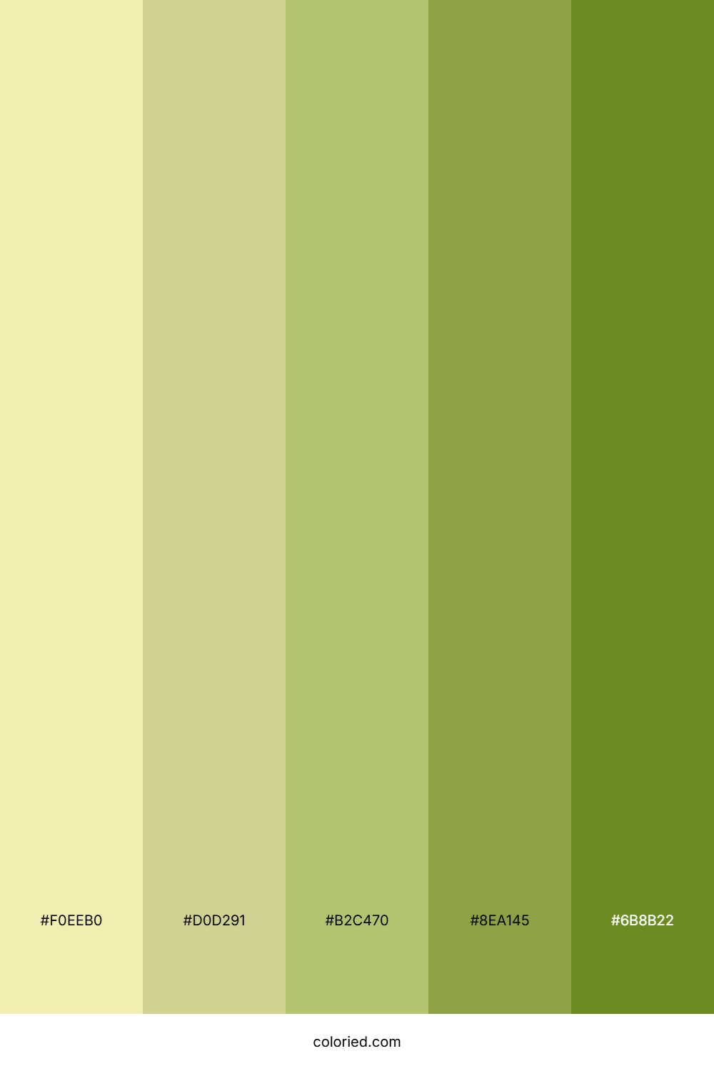 Soft Butter and Olive Color Palette