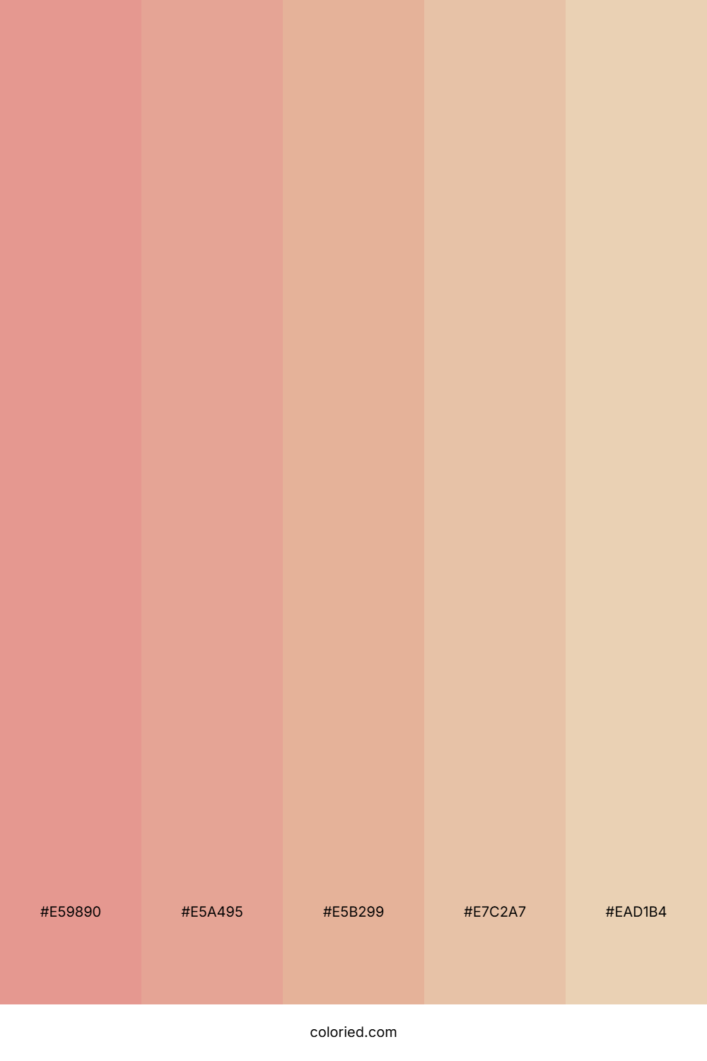 Soft Coral and Blush Color Palette