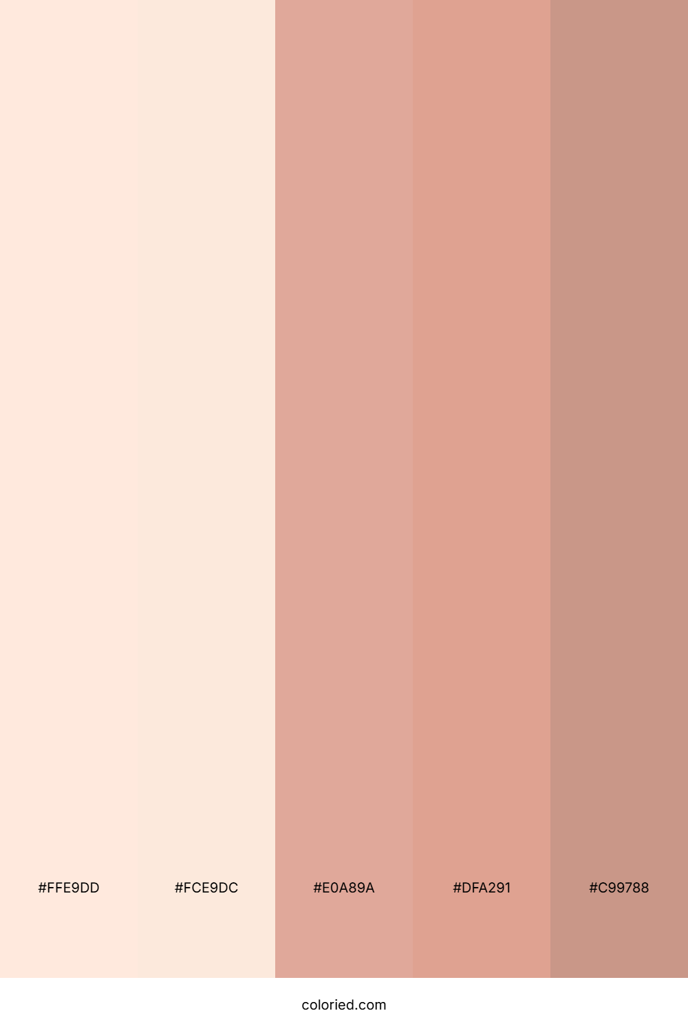 Soft Coral Glow Color Palette