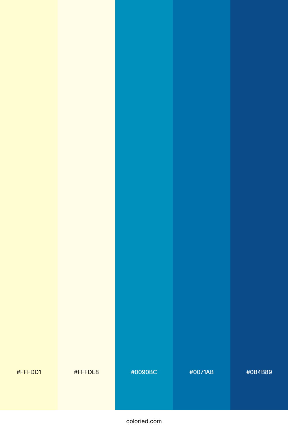 Soft Cream and Deep Blue Color Palette