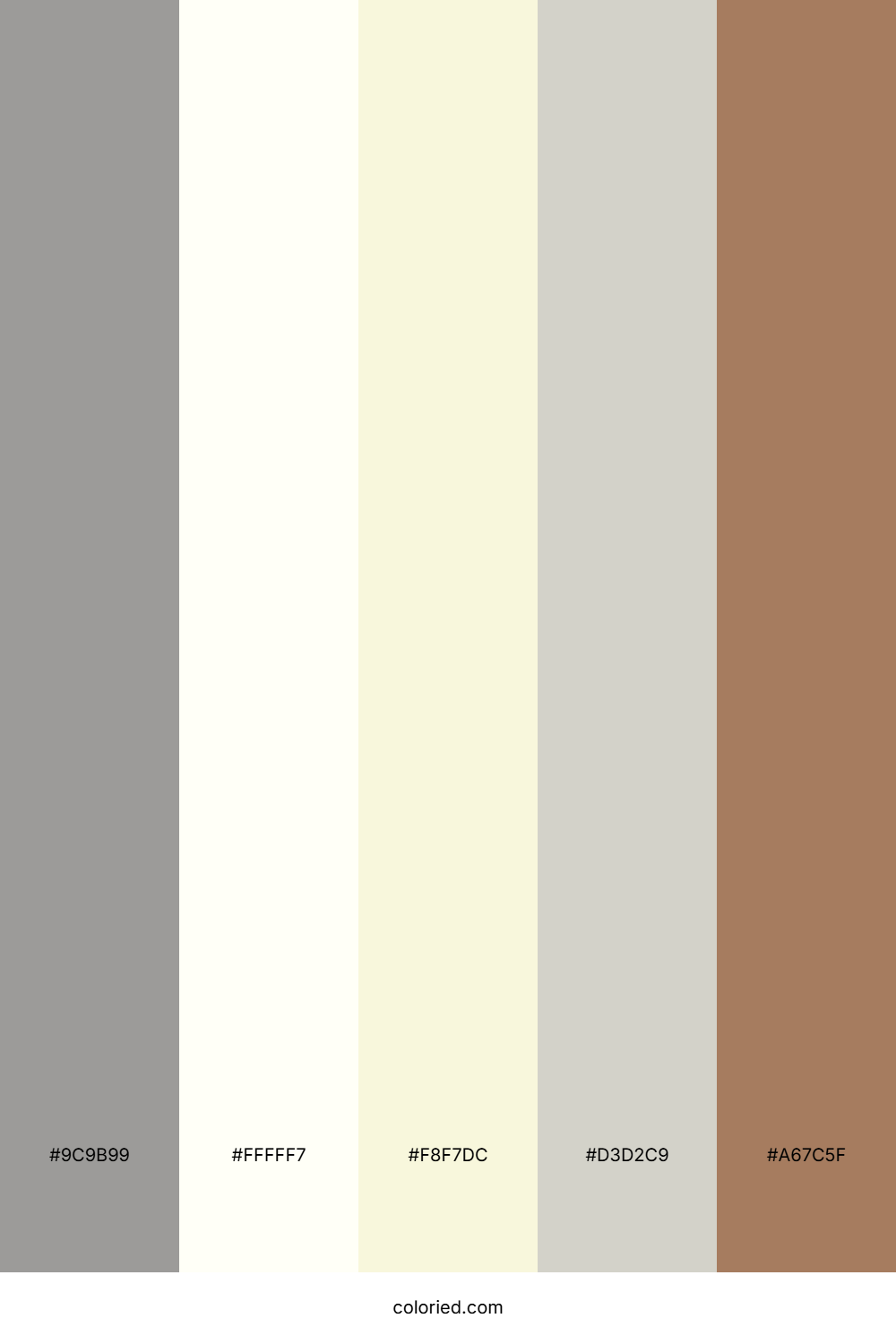 Soft Gray and Ivory Color Palette