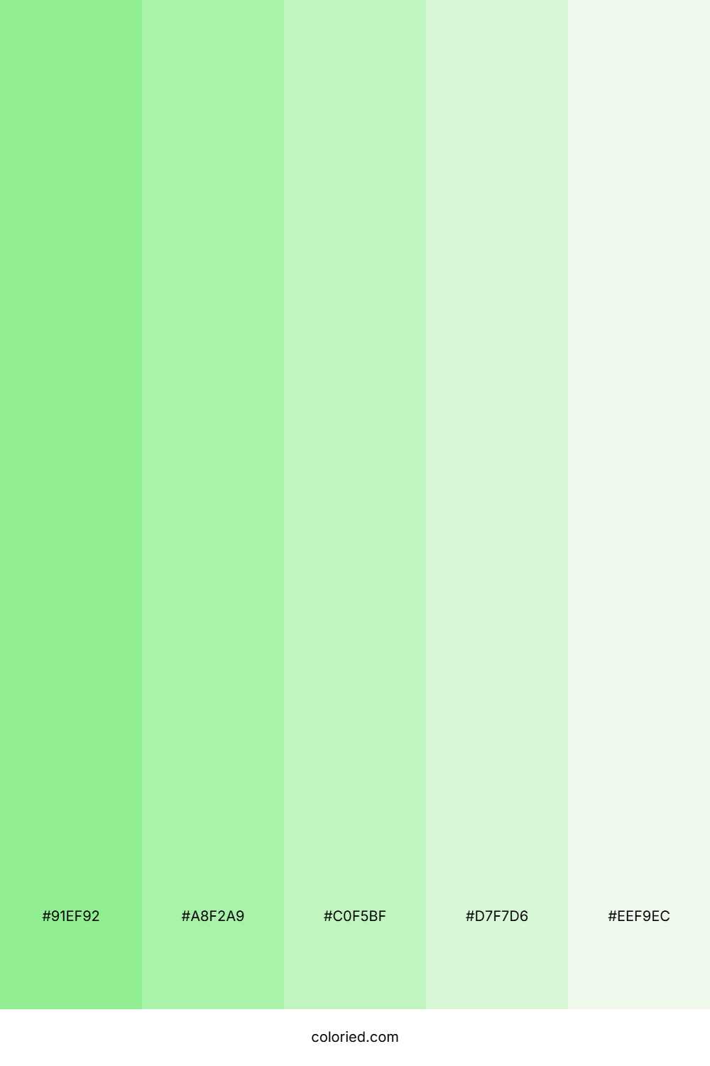 Soft Green And Mint Color Palette