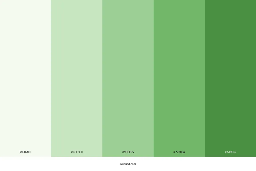 Soft Green Color Palette