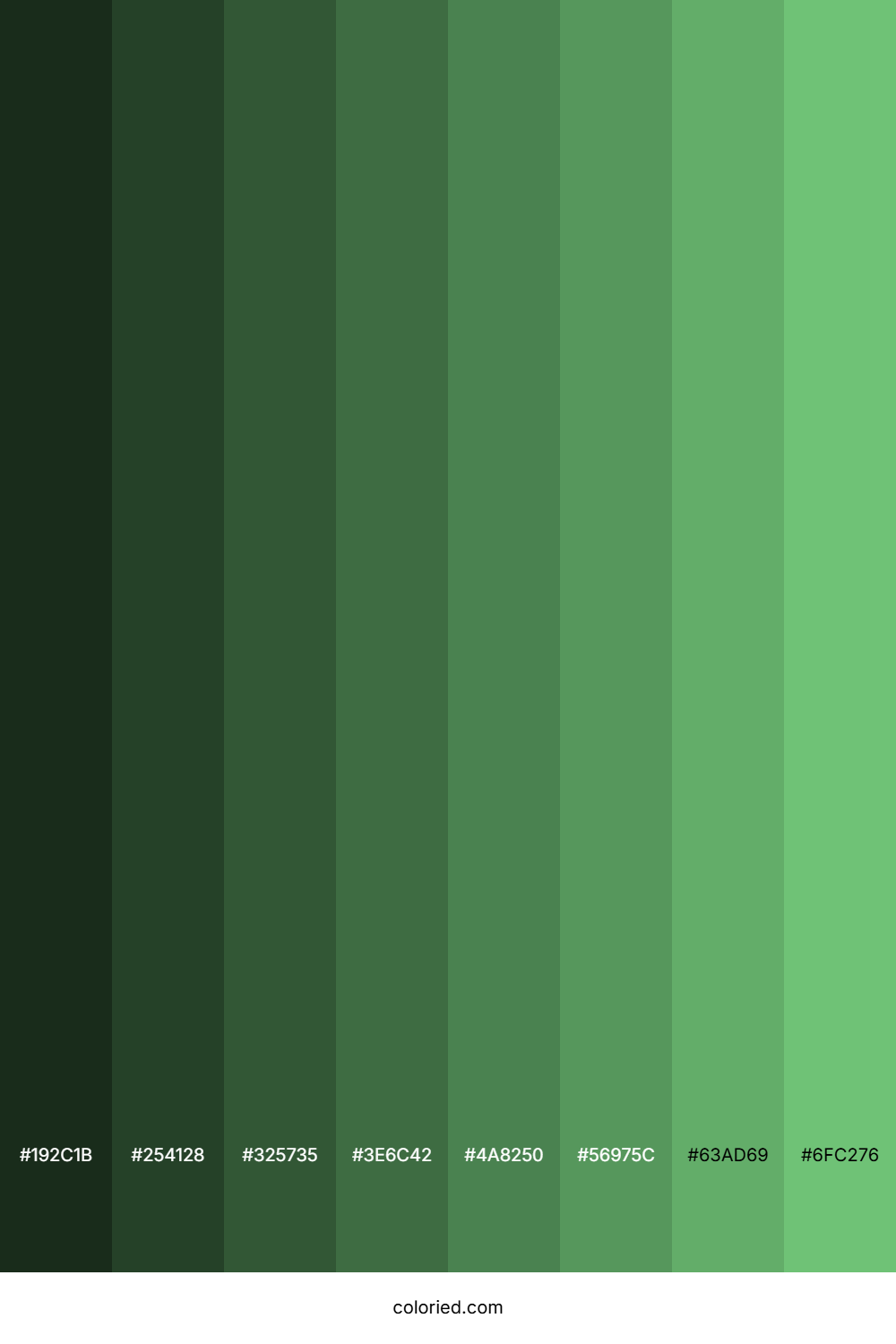 Soft Green Shades