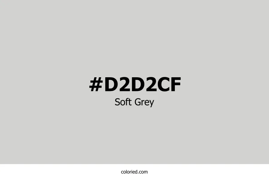 Soft Grey Color