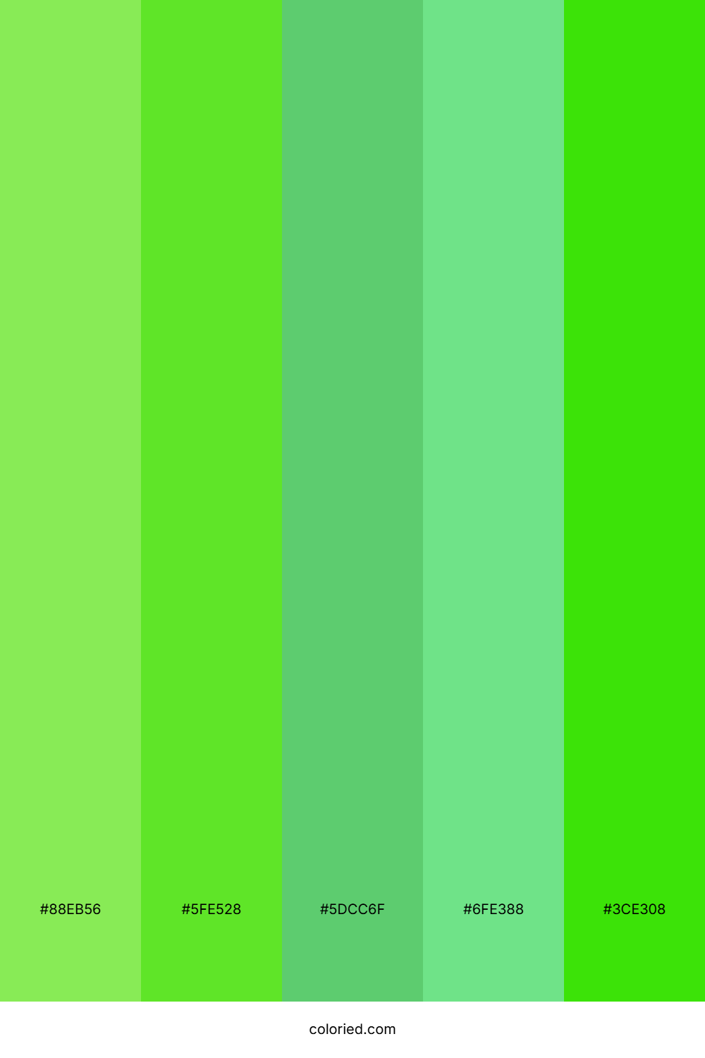 Soft Lime and Mint Color Palette