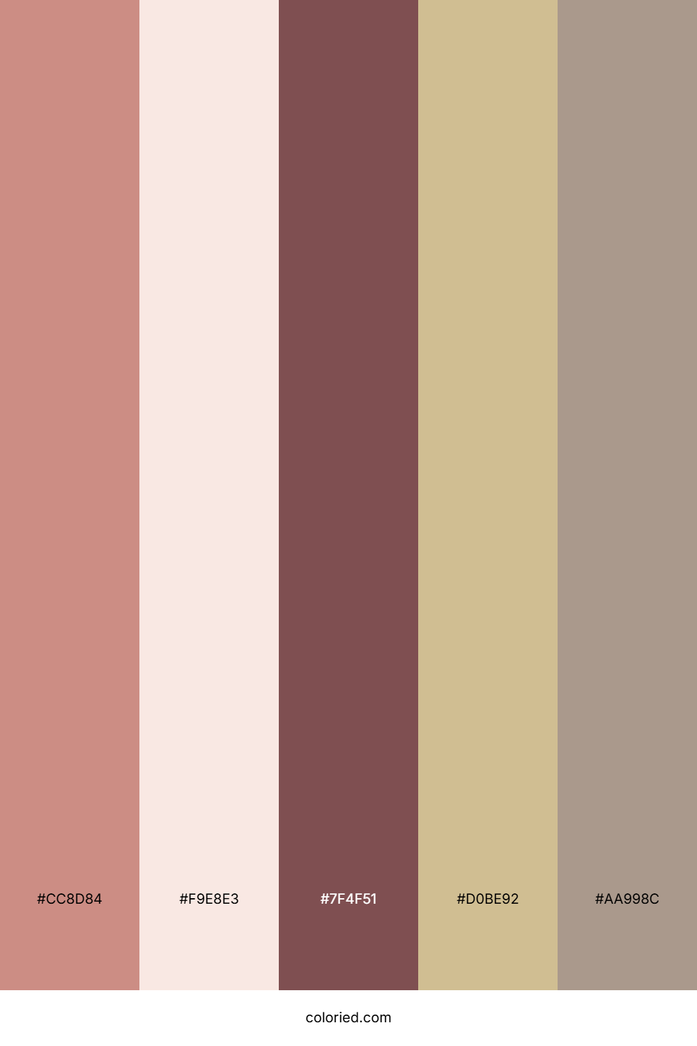 Soft Maroon Clay Color Palette