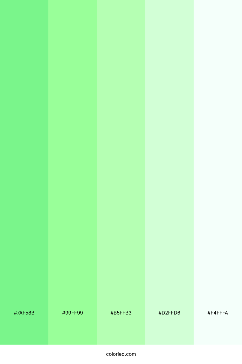 Soft Mint Breeze Color Palette