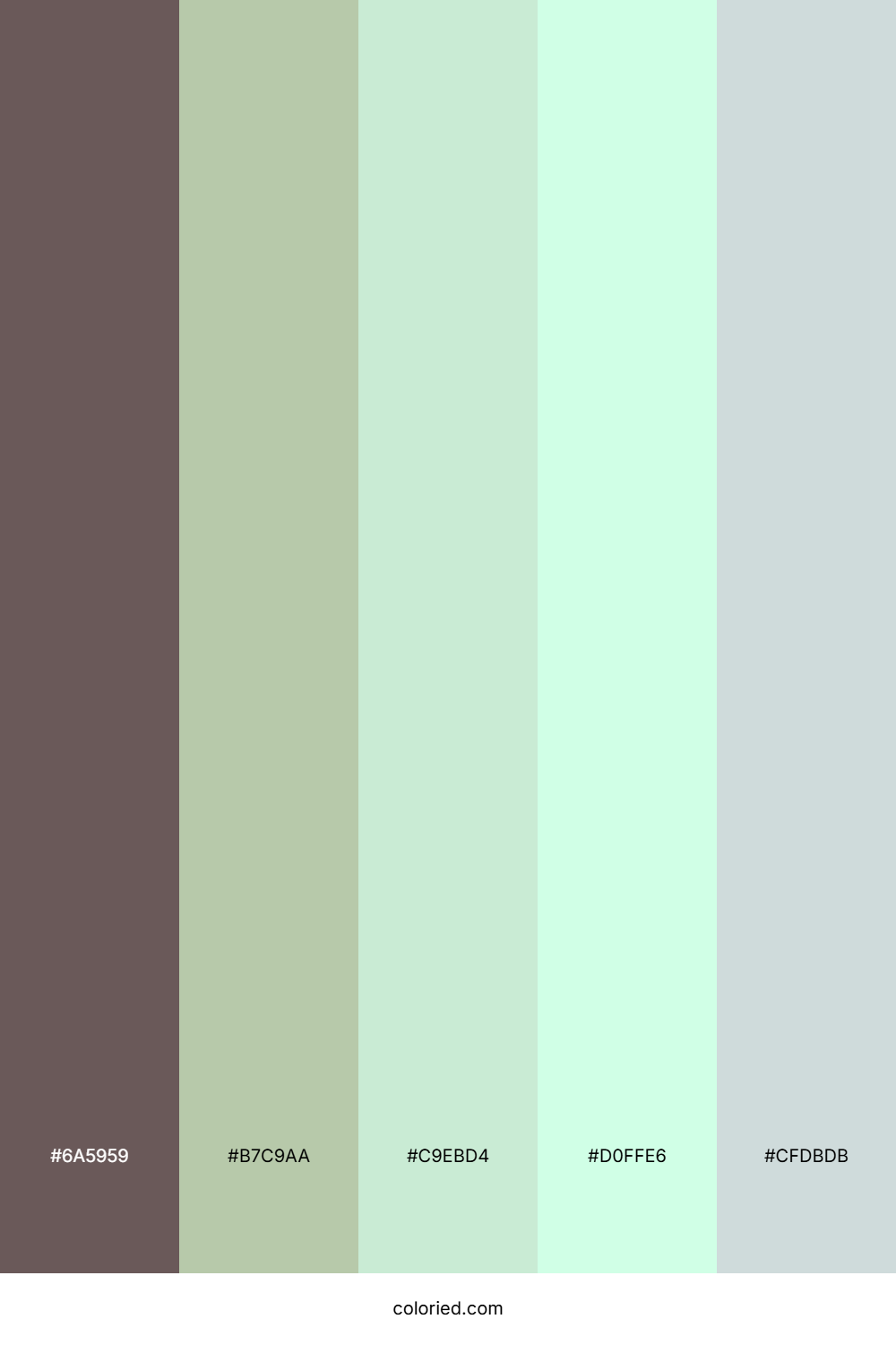 Soft Mint Whisper Color Palette