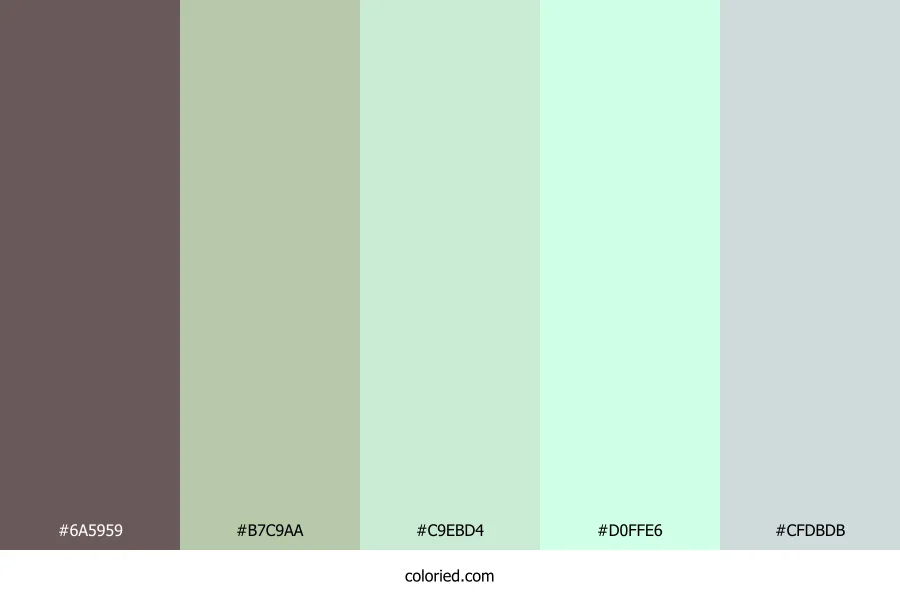 Soft Mint Whisper Color Palette