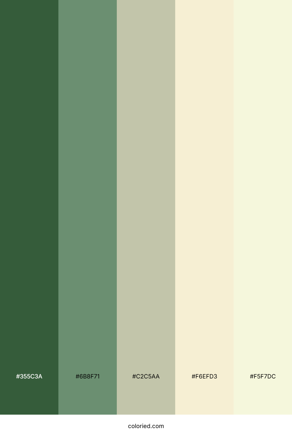 Soft Nature Gradient Color Palette