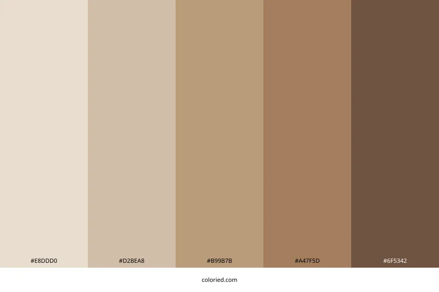 Soft Neutral Brown Color Palette