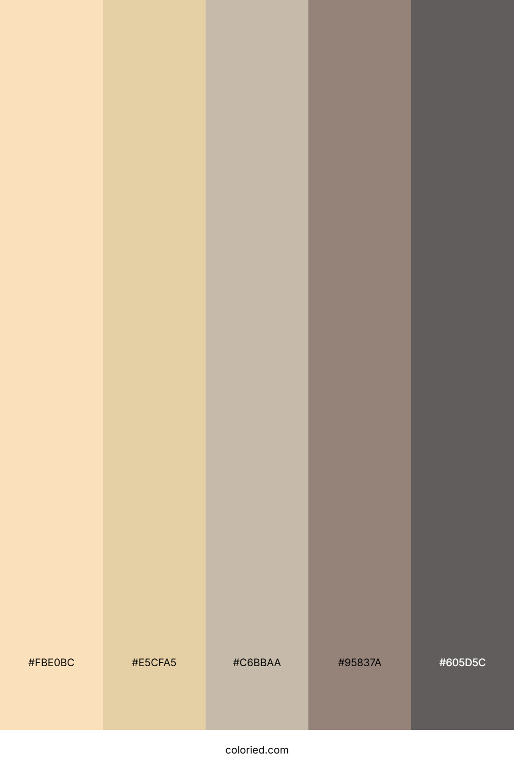 Soft Peach and Champagne Color Palette