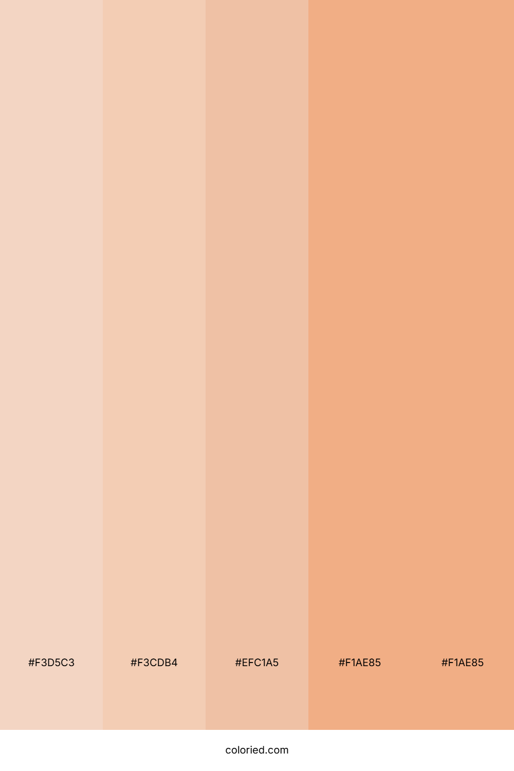 Soft Peach Cream Palette