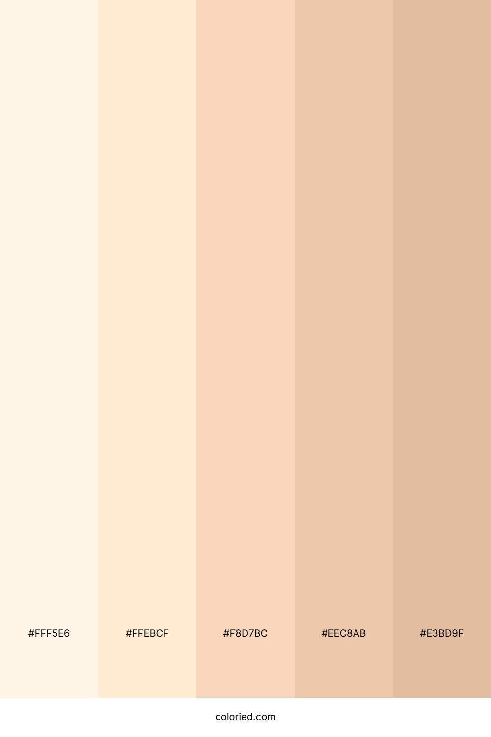 Soft Peach Harmony Color Palette