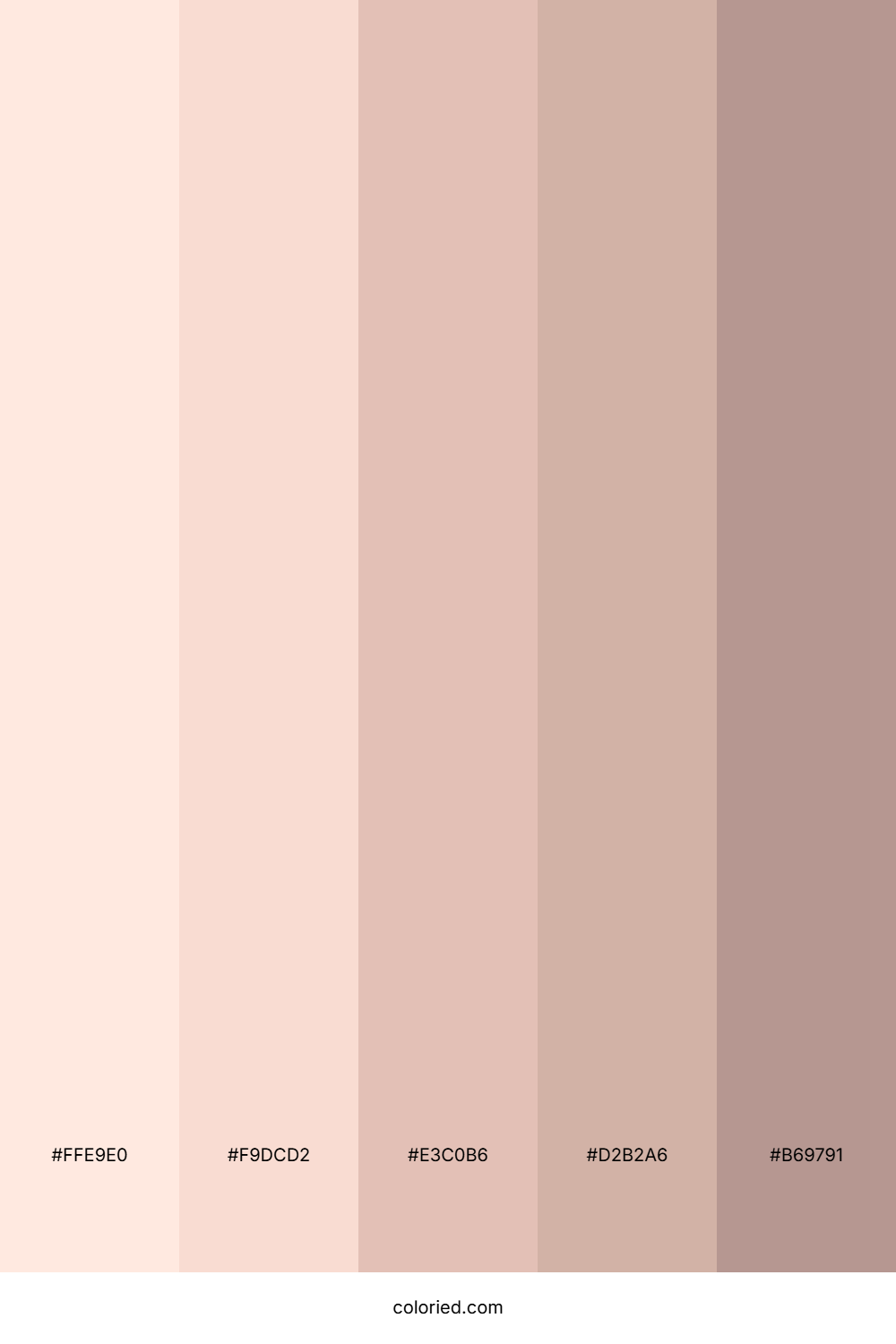 Soft Peachy Beige Color Palette