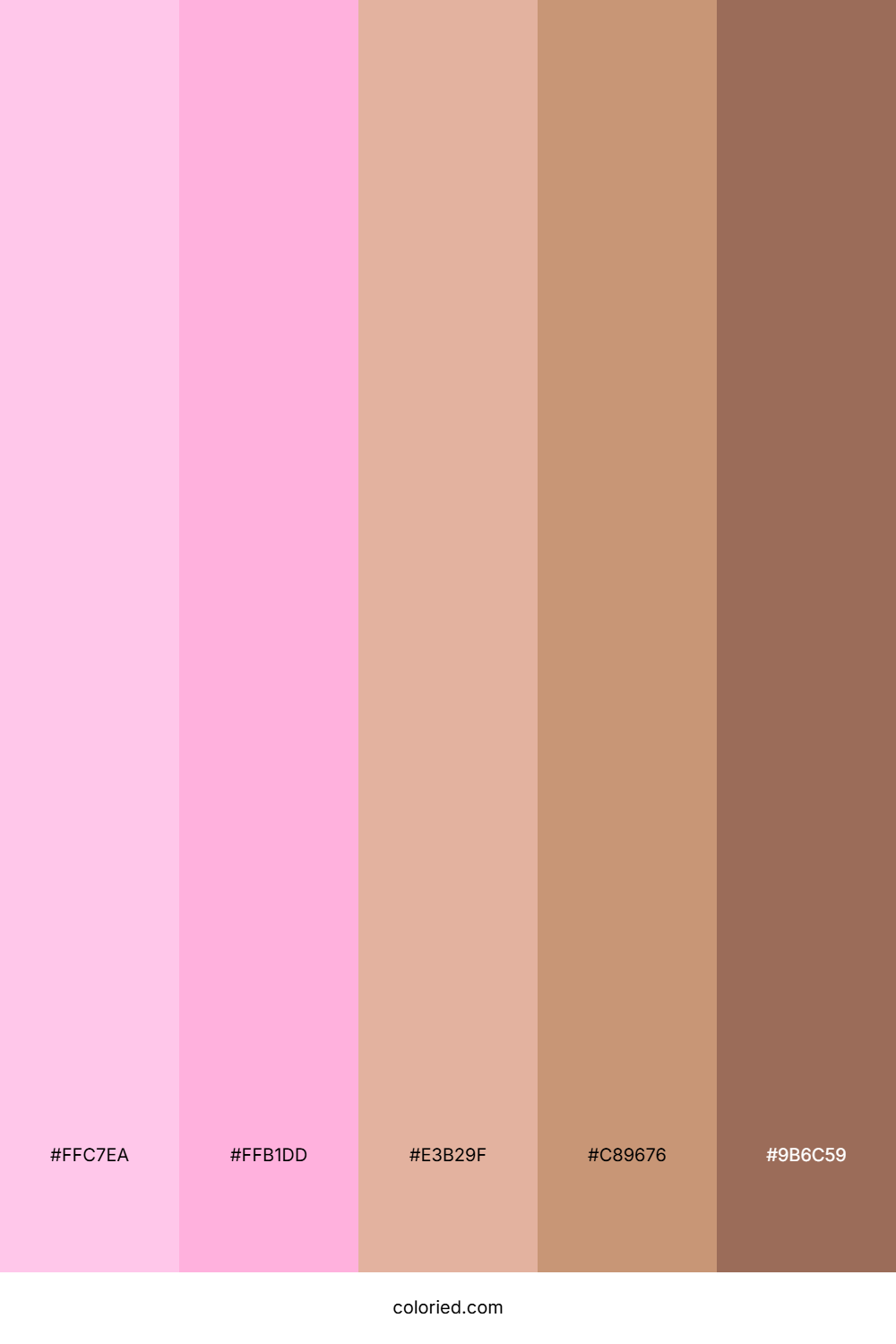 Soft Pink and Brown Color Palette