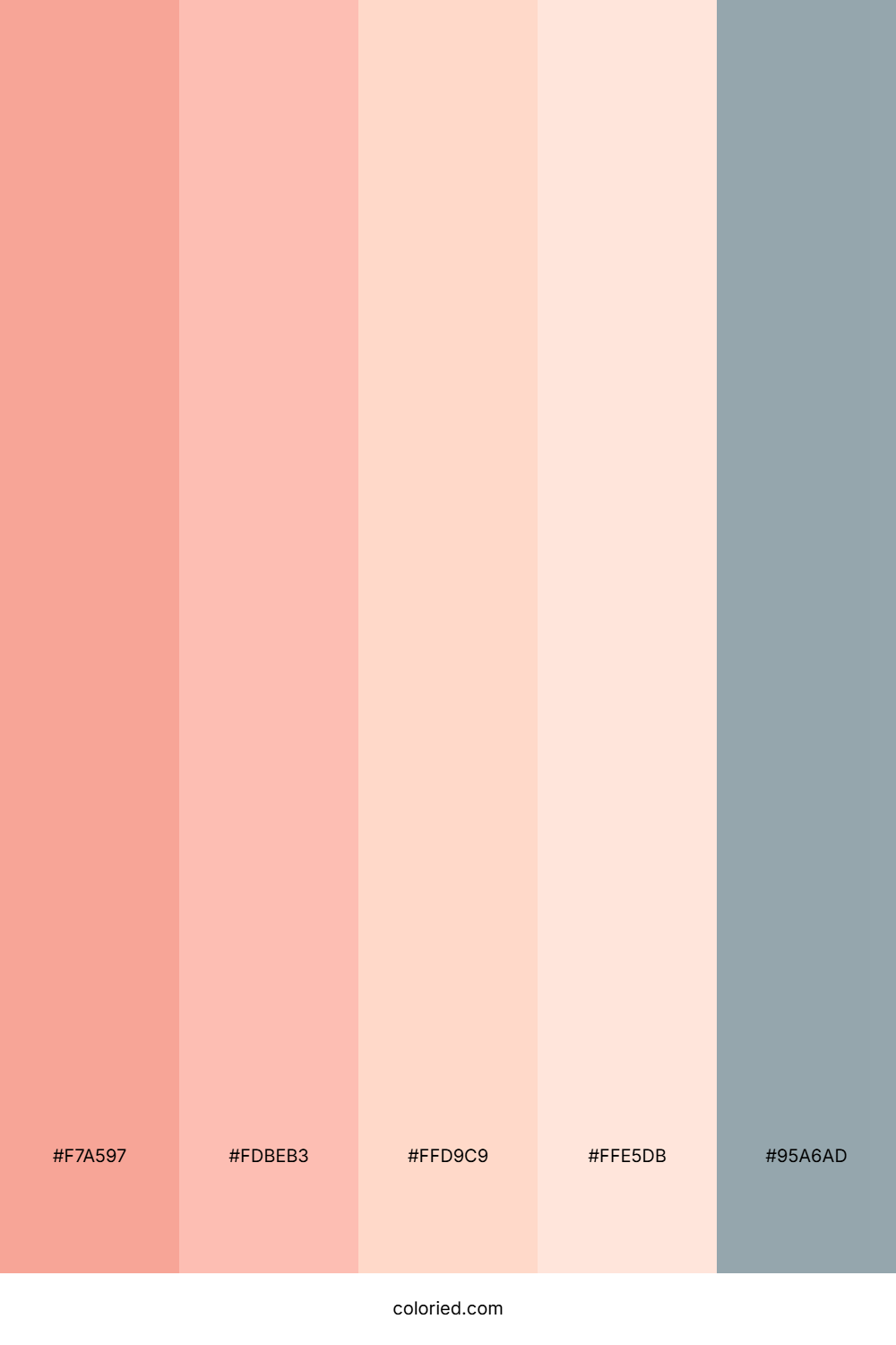 Soft Pink And Cool Gray Color Palette