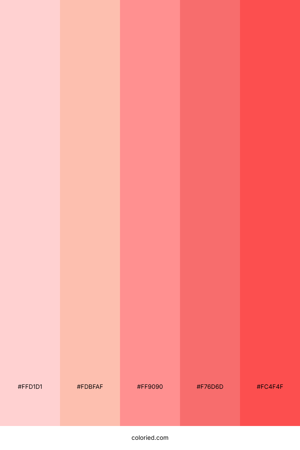 Soft Pink and Coral Color Palette