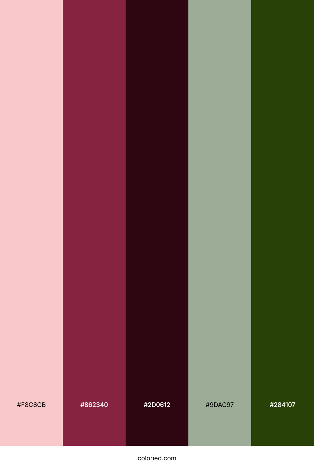 Soft Pink and Deep Burgundy Color Palette