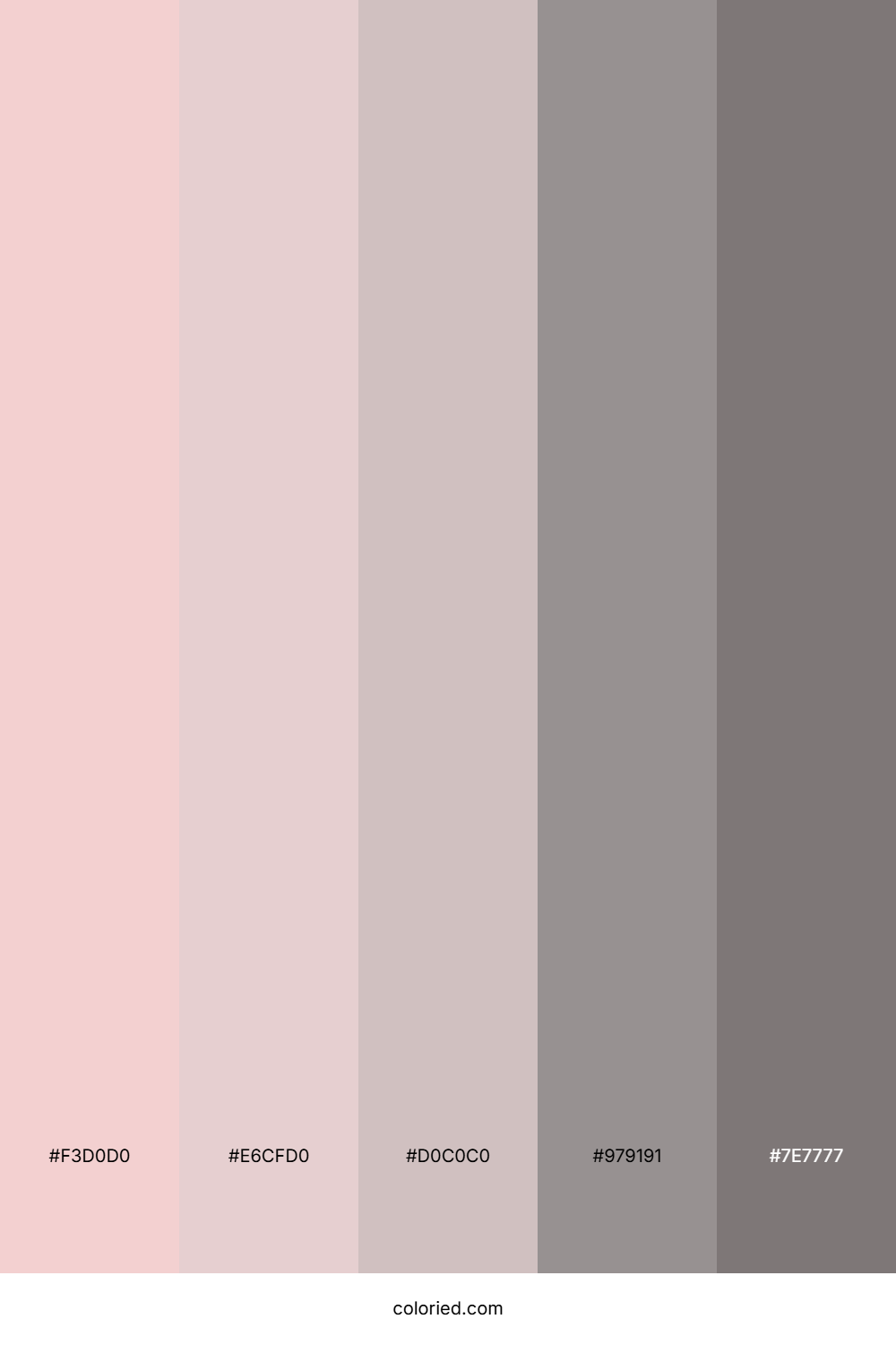 Soft Pink and Gray Color Palette