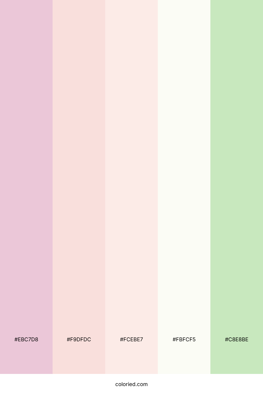 Soft Pink And Mint Green Color Palette