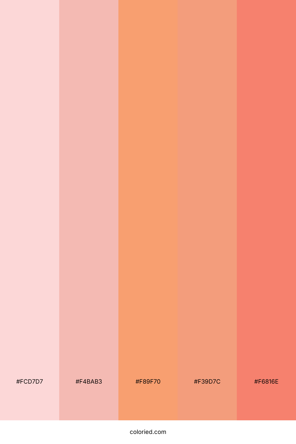 Soft Pink and Peach Color Palette
