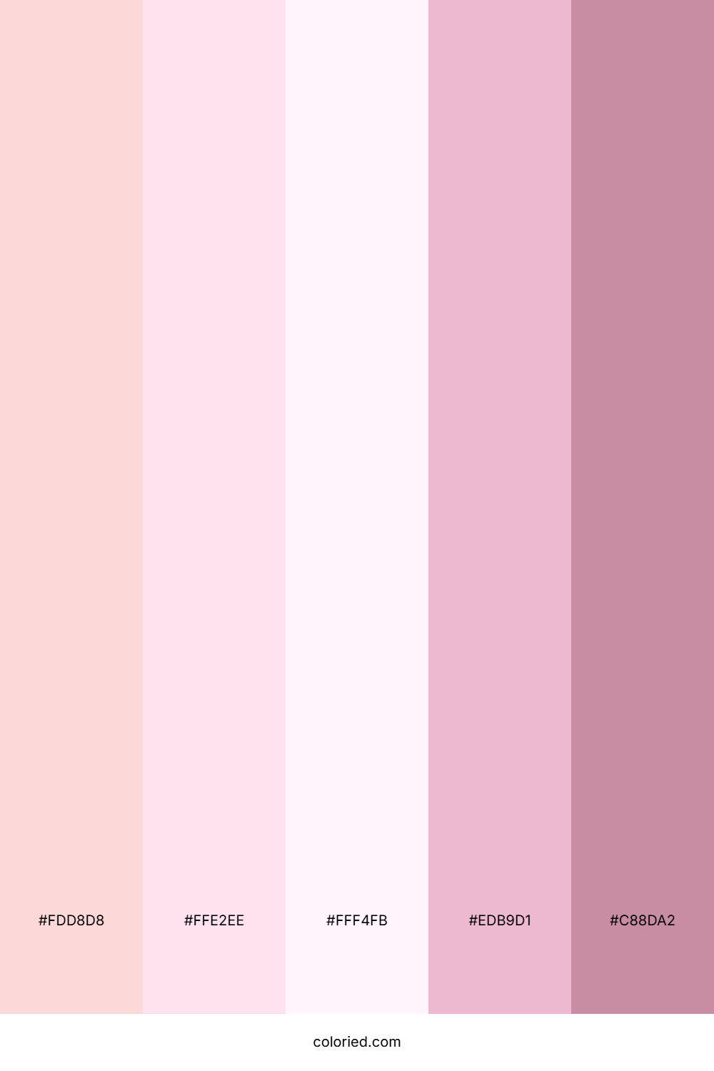 Soft Pink and Rose Color Palette