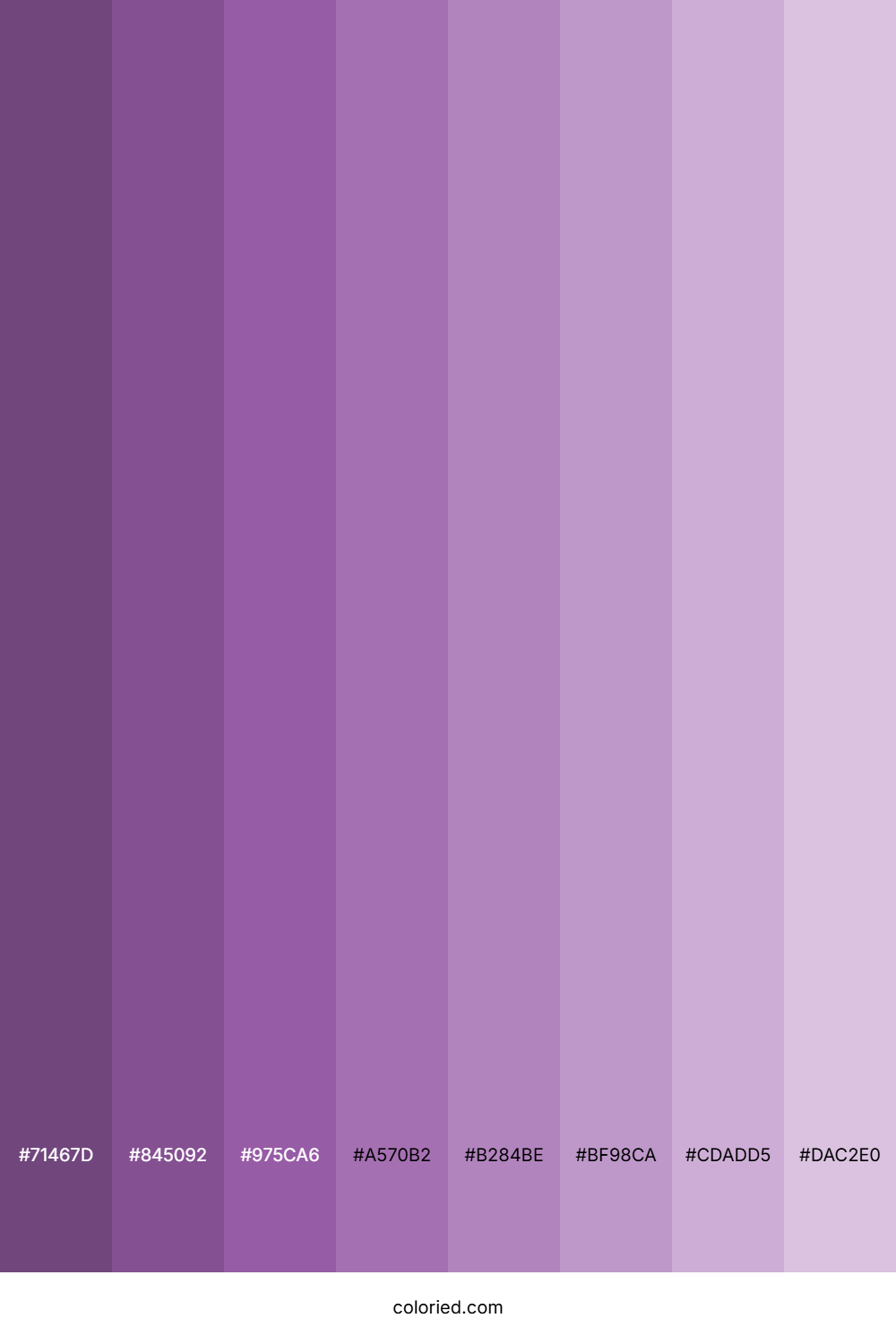 Soft Purple Shades