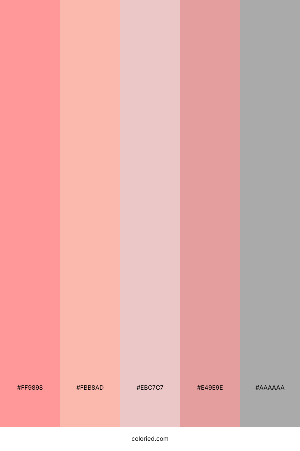 Soft Red and Blush Color Palette