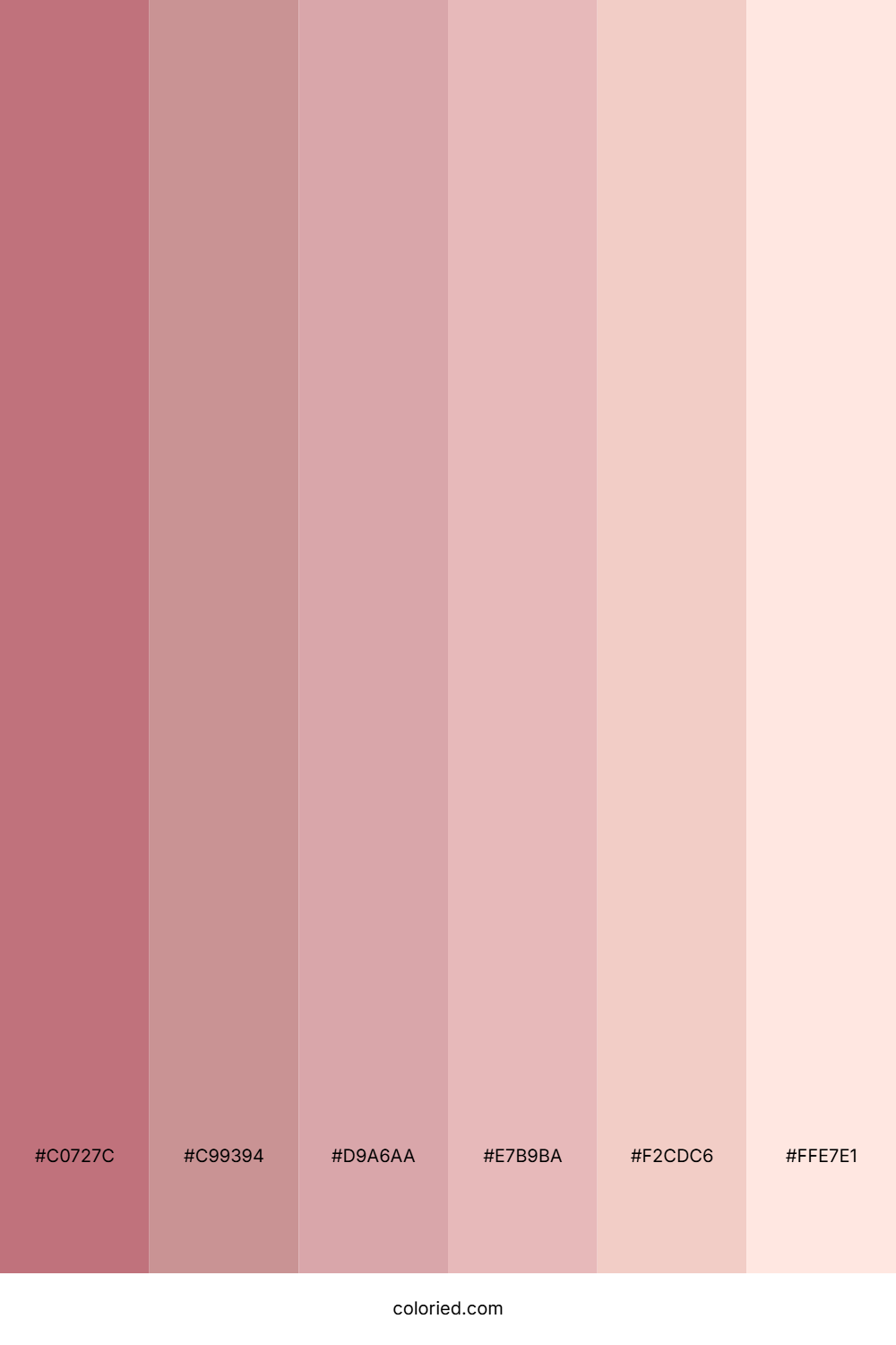 Soft Rose And Blush Pink Color Palette
