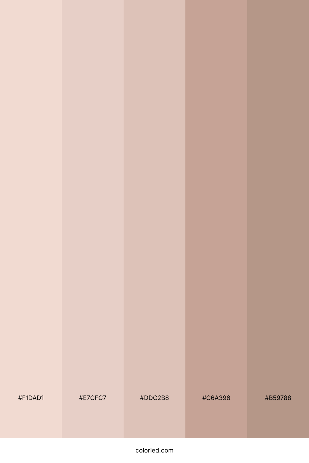 Soft Rose and Warm Beige Color Palette