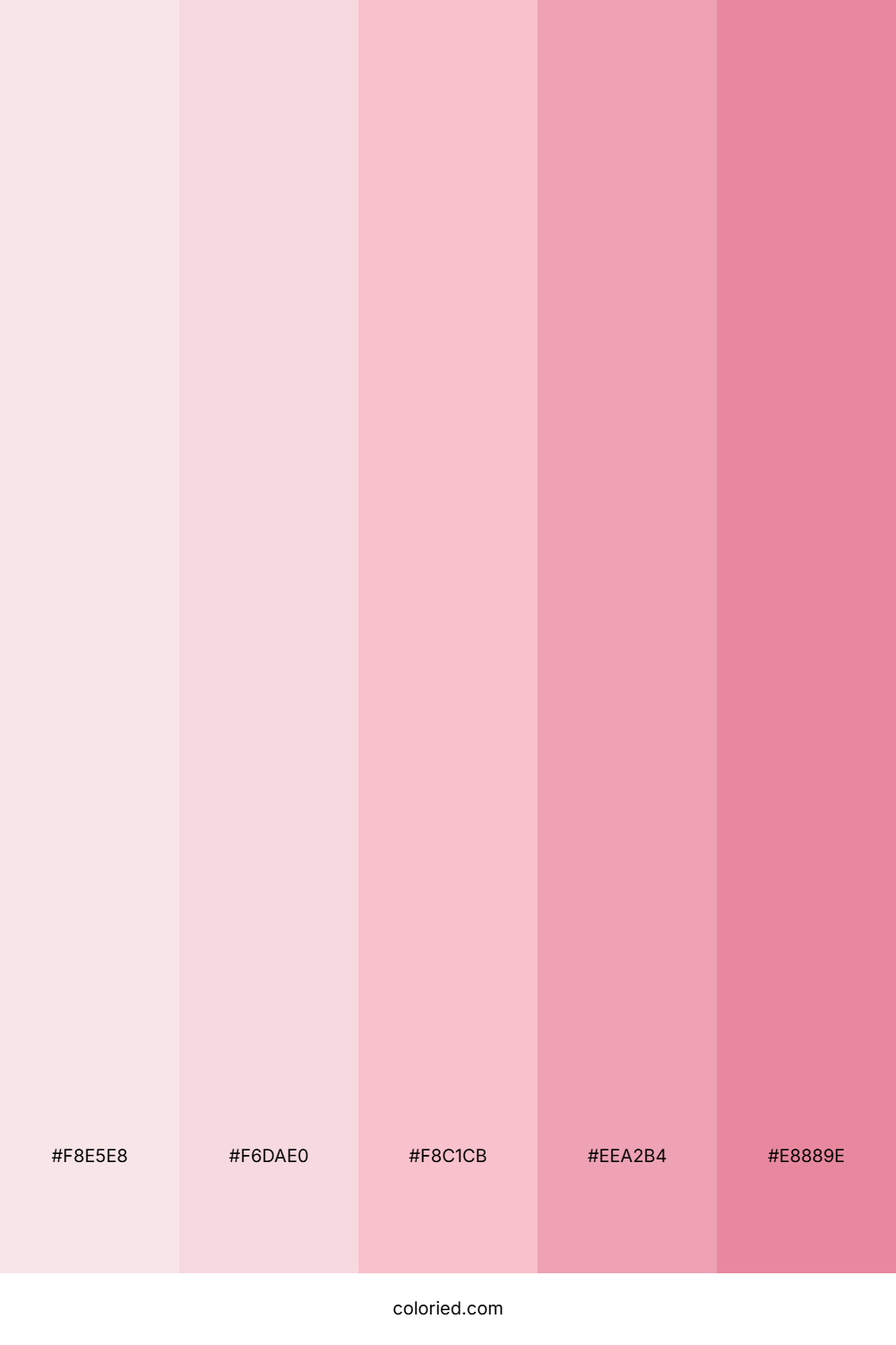 Soft Rose Gradient Color Palette