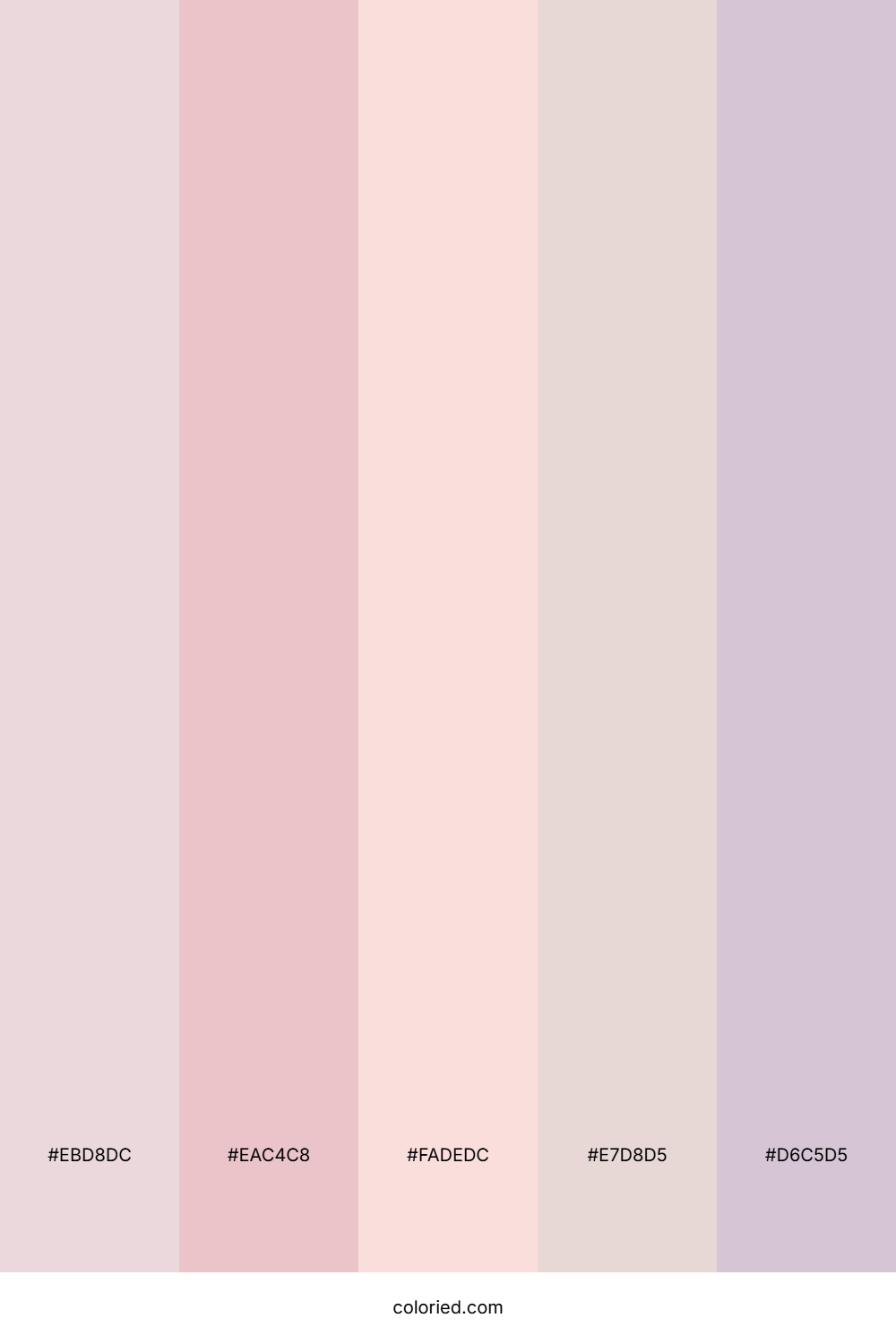 Soft Rose Petal Color Palette