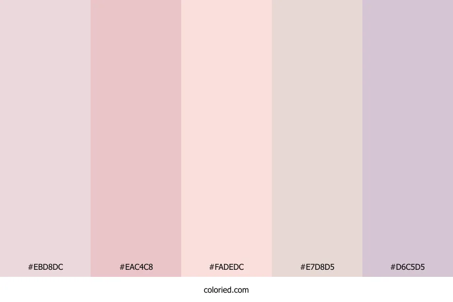 Soft Rose Petal Color Palette