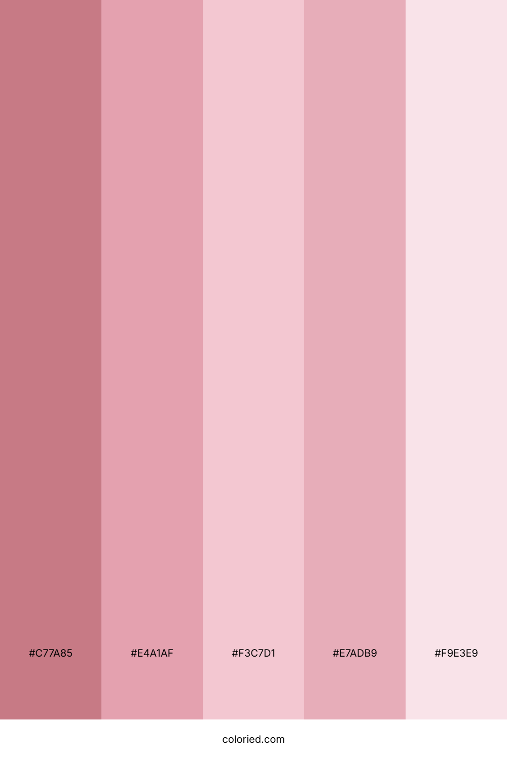 Soft Rose Pink Color Palette