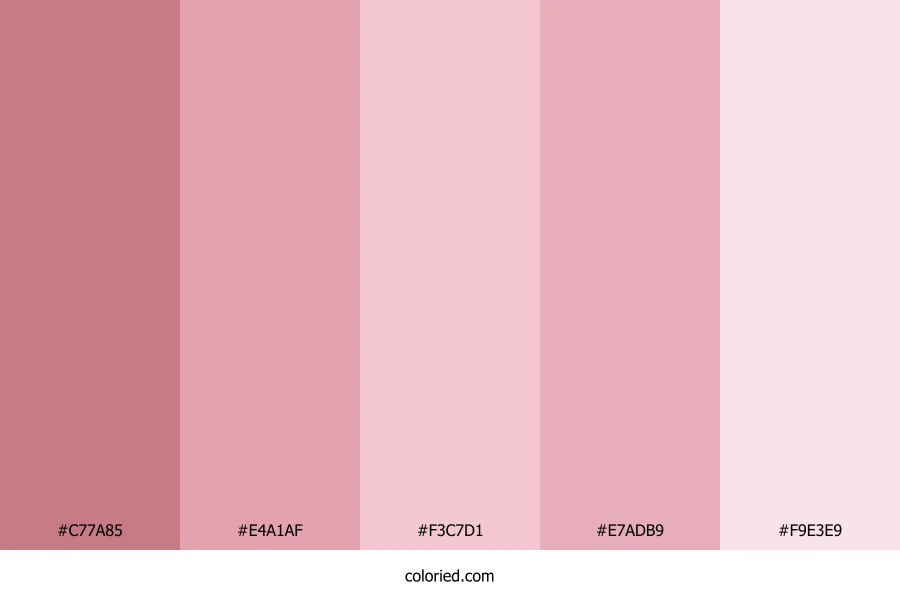 Soft Rose Pink Color Palette