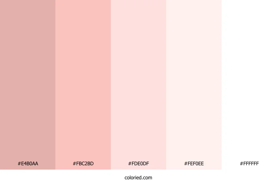 Soft Rose Whisper Color Palette