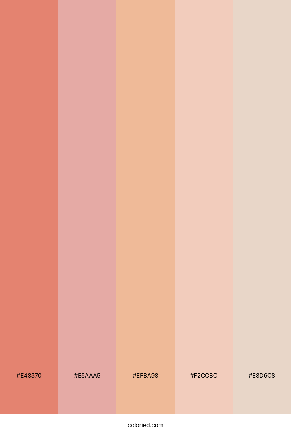 Soft Rosewood Dawn Color Palette