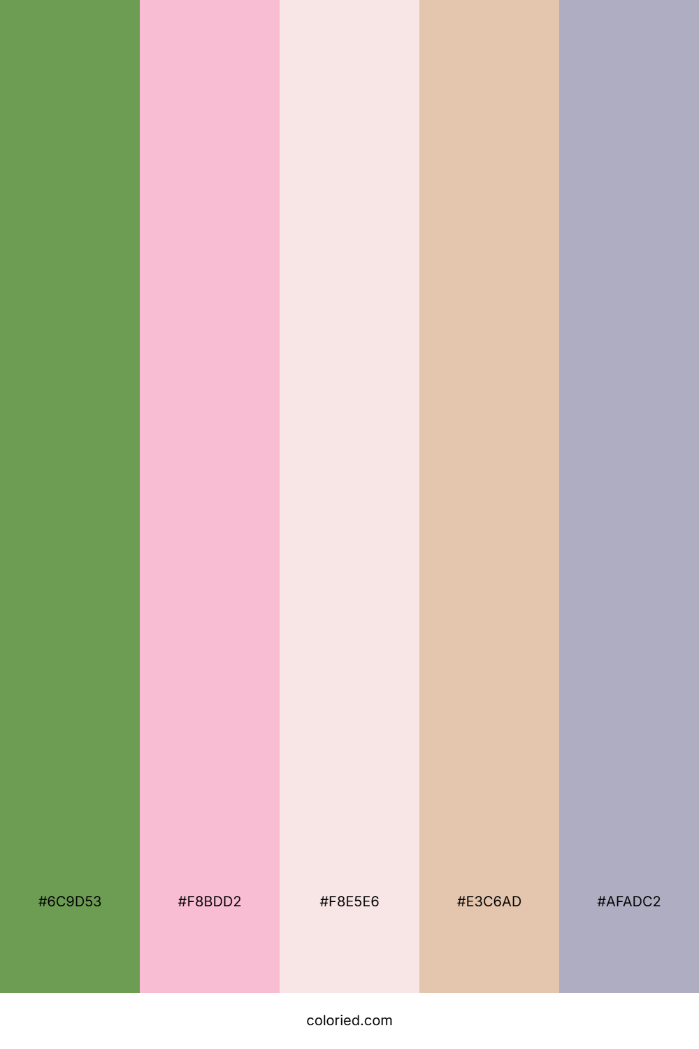 Soft Sage Blossom Color Palette