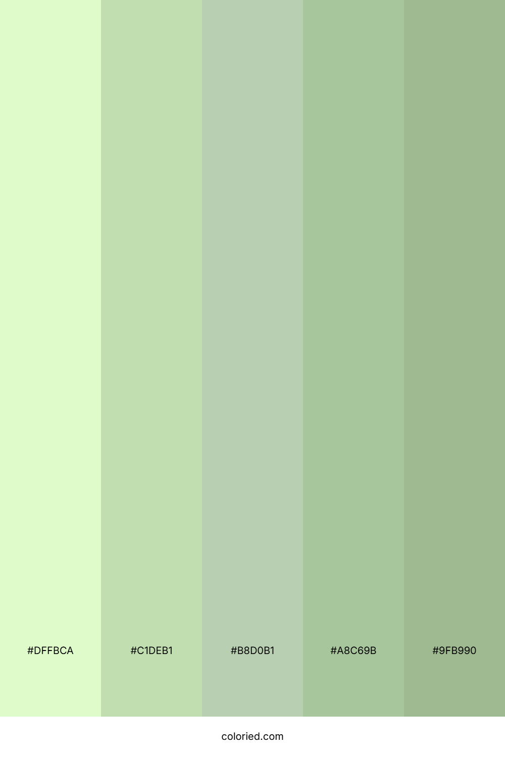 Soft Sage Meadow Color Palette